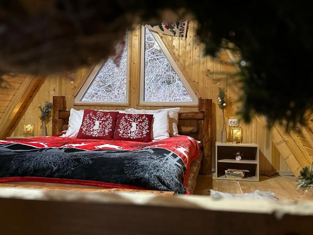 فيلا Cabanutze Satic Rucăr المظهر الخارجي الصورة