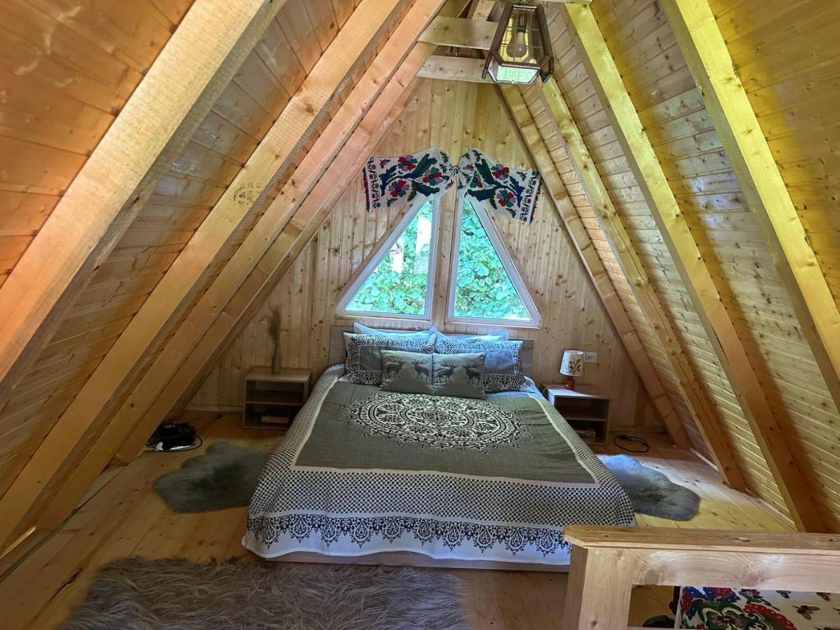 فيلا Cabanutze Satic Rucăr المظهر الخارجي الصورة