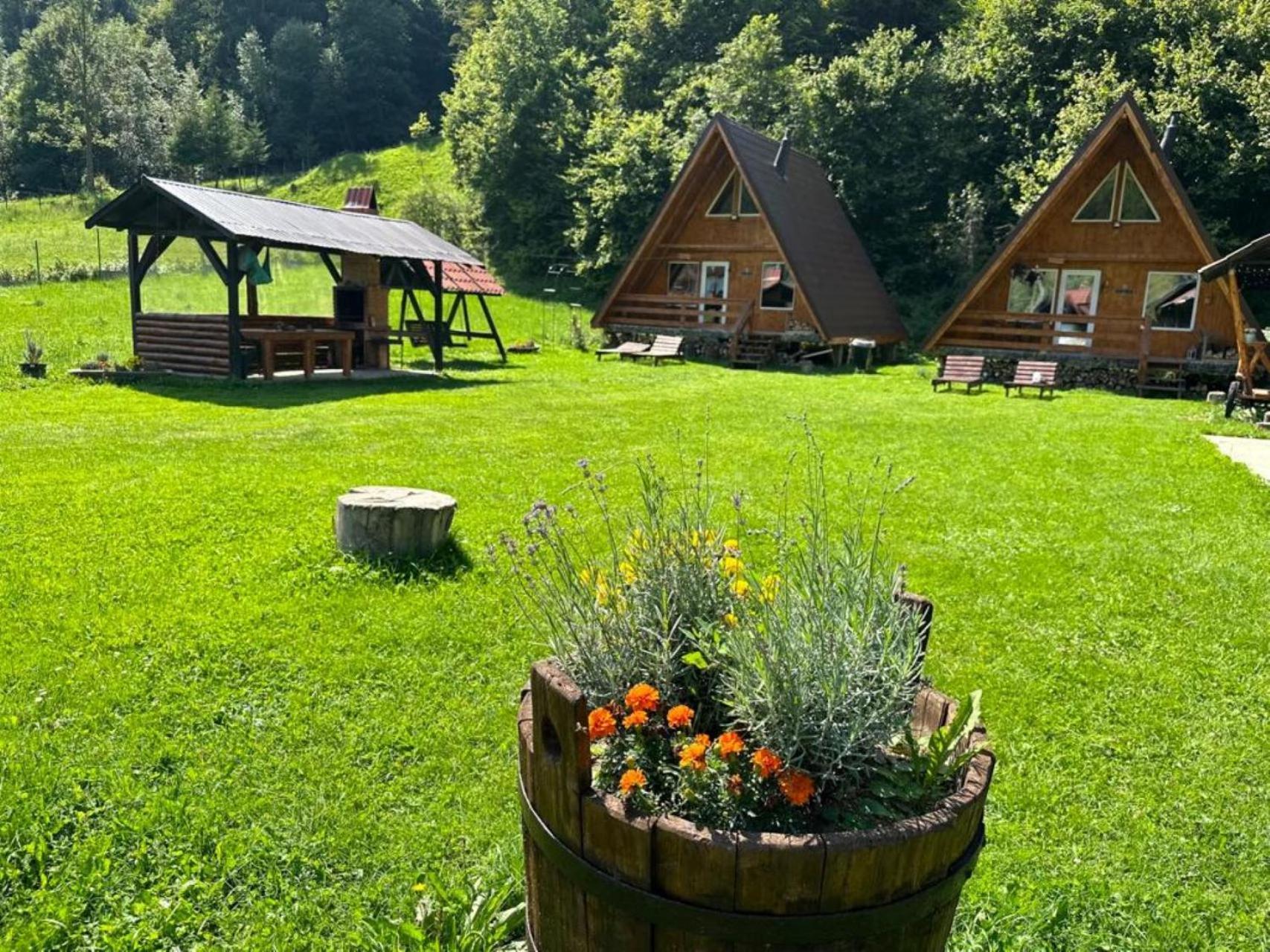 فيلا Cabanutze Satic Rucăr المظهر الخارجي الصورة