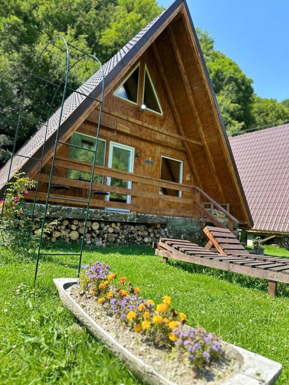 فيلا Cabanutze Satic Rucăr المظهر الخارجي الصورة