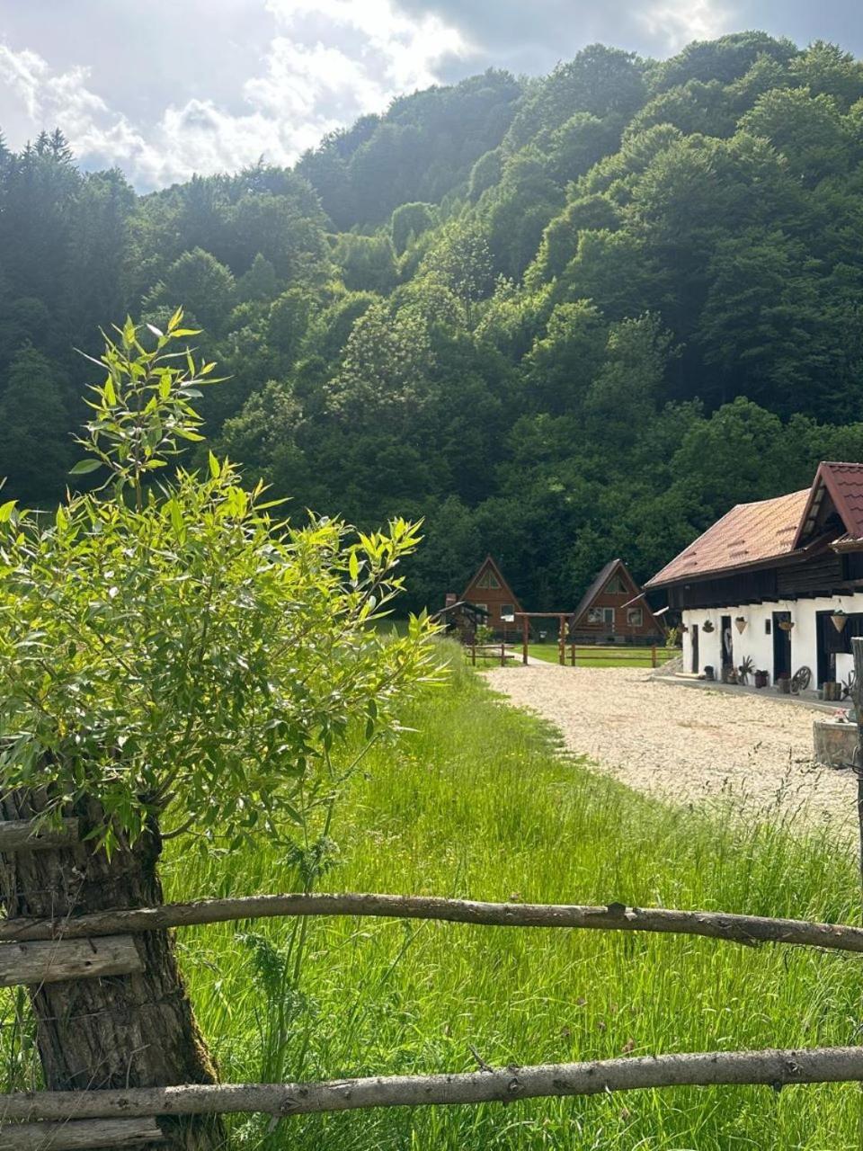 فيلا Cabanutze Satic Rucăr المظهر الخارجي الصورة