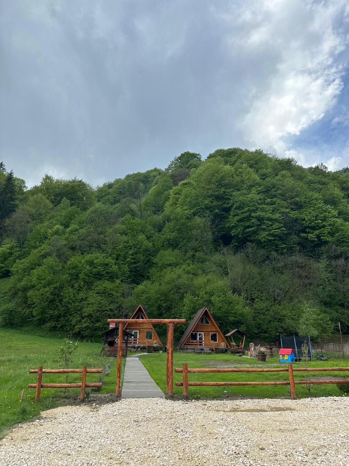 فيلا Cabanutze Satic Rucăr المظهر الخارجي الصورة