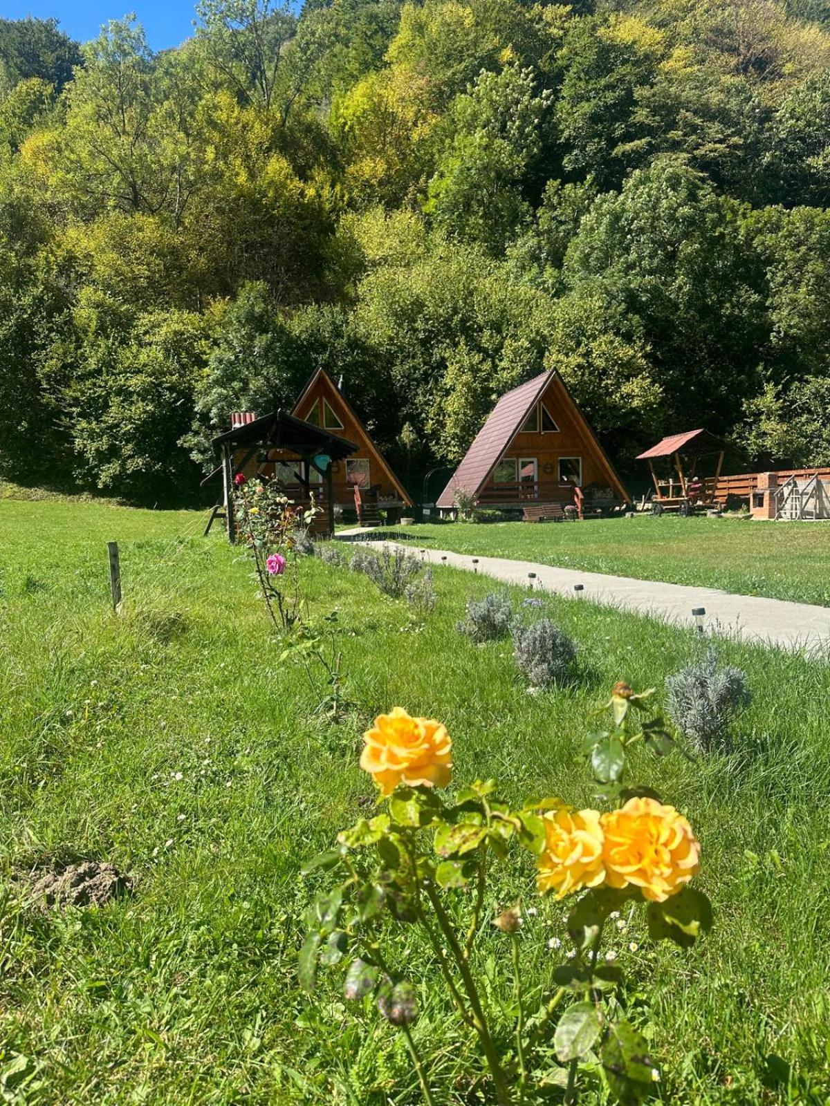 فيلا Cabanutze Satic Rucăr المظهر الخارجي الصورة